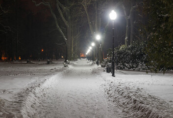 Park Dworski w Iłowej w zimową noc.