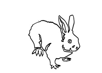 Fototapeta na wymiar Graphical hand-drawn doodle illustration of rabbit isolated on white background,vector