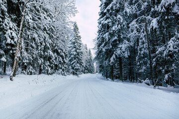 Winter landscape