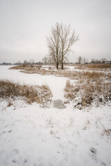 zimowy krajobraz nad małym jeziorkiem w Polsce