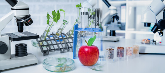 Chemical Laboratory of the Food supply . Food in laboratory, dna modify .GMO Genetically modified food in lab .Red Apple