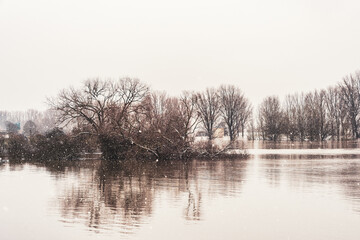 Fototapeta na wymiar Flood on the Rhine near Cologne in winter, Germany.