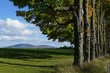 Obraz premium Open Field