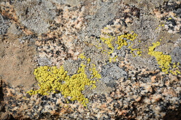 Rock Texture