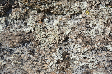 Rock Texture