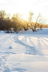 Trail on the frozen river. Sunny winter landscape on a sunny day. Snowy nature at sunset