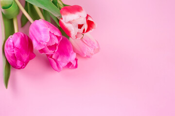Bouquet of beautiful colorful tulips on light pink background with copy space for text. Design for greeting card - Mother's Day, Women Day, 8 March or Valentines Day concept, selective focus
