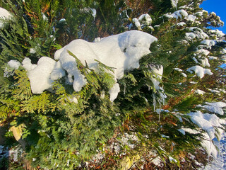 Winterbilder