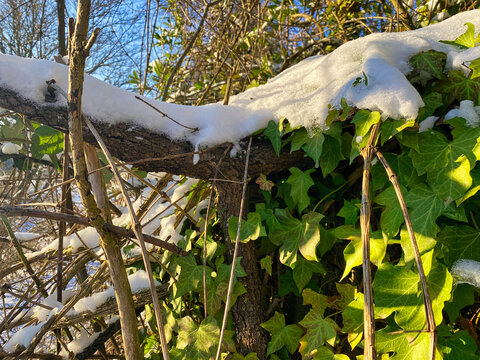 Winterbilder