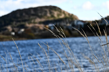 Quidi Vidi Lake