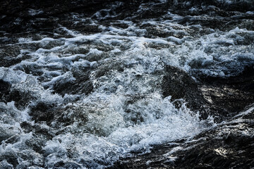 Water flowing in the forest