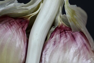 close up of a garlic