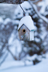 Birdhouse covered with snow in winter, New England, US