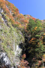 べふ峡渓谷　白い石灰岩と紅葉　秋　（高知県）