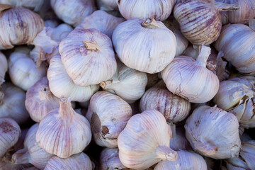 Garlic on a table in a market