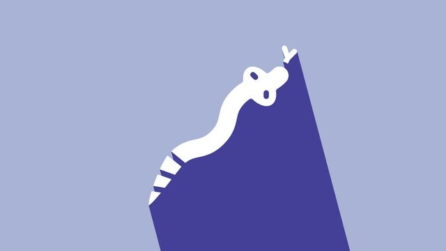 White Snake icon isolated on purple background. 4K Video motion graphic animation