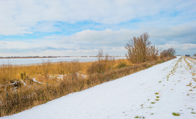 Snowy edge of a white frozen lake in wetland in winter, Almere, Flevoland, The Netherlands, February 10, 2020