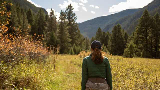 Hike In Bozeman Montana