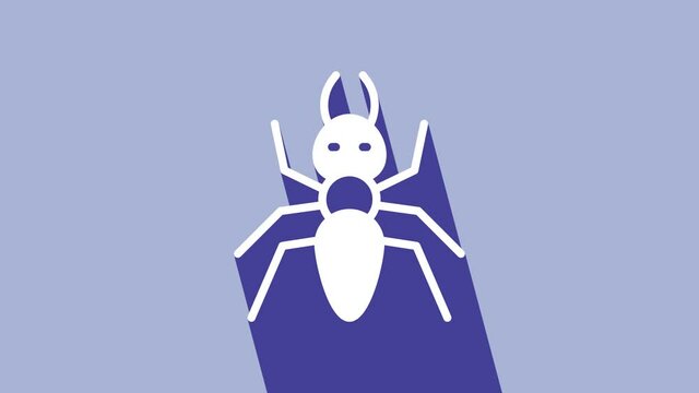 White Ant icon isolated on purple background. 4K Video motion graphic animation