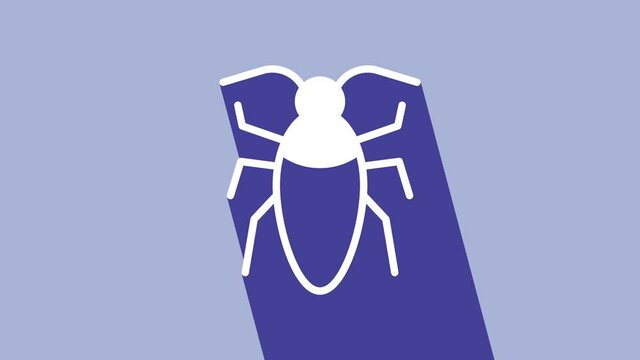 White Cockroach icon isolated on purple background. 4K Video motion graphic animation