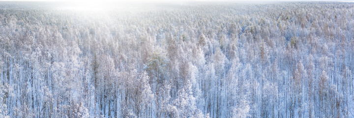 White winter snow covered mixed forest aerial panoramic view