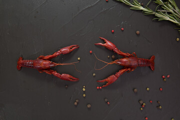 Delicious boiled crayfish close-up, with pepper, lemon and parsley. free space for your text.