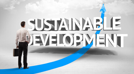 Rear view of a businessman standing in front of SUSTAINABLE DEVELOPMENT inscription, successful business concept