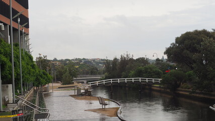bridge over the river