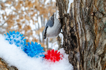 The bird sat on a tree and looks at the figurines of the coronavirus in the snow.