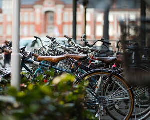 Fototapeta na wymiar Bicycles in a line