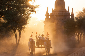 Bullock cart and pagoda, sunset, Bagan, (Pagan), Myanmar, (Burma)