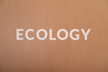 Ecology white cardboard letters on a craft paper