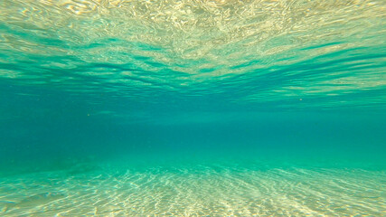 Fototapeta na wymiar Underwater shot of the sea surface with waves on a sunny day 