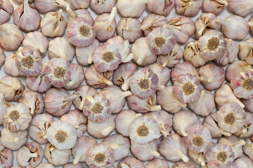 Pile of the fresh bulb garlic on white background. Top view.
