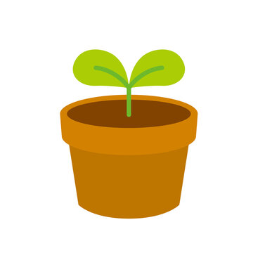植木鉢 Images Browse 7 9 Stock Photos Vectors And Video Adobe Stock