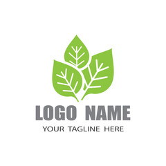 Mint leaves flat vector color icon template