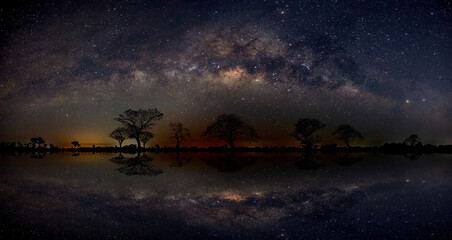 Panorama silhouette tree in africa with stars reflection on water.Typical african dark night with acacia trees in Masai Mara, Kenya.Space background with noise and grain. © noon@photo