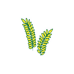 rice plant, grain vector illustration. seed grain icon. nature background. green outline, hand drawn vector. healthy food. doodle for logo, clipart, sticker, cover, banner, branding, poster. 