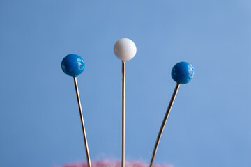 Agujas y alfileres macro