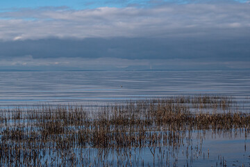 high tide near the coast with brown straws submerged under water and clouds covering the horizon