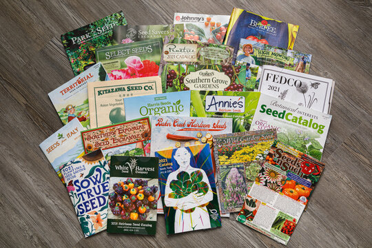 Fairfax, VA USA - February 11, 2021: Group of seed catalogs from a variety of companies advertising their products for 2021 to the retail market