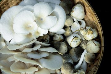 Straw mushrooms Cultivated from rice straw in thailand