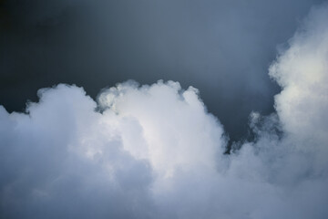 Health worker  Fumigation fogging mosquitoes carriers of dengue Zika Virus or Malaria.