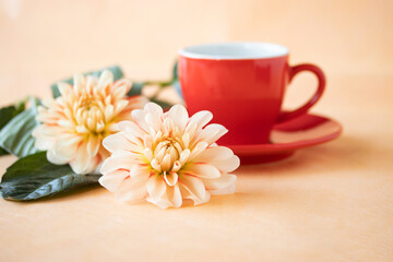 Fototapeta na wymiar ダリアの花と黄色のコーヒーカップに入れたコーヒー花とコーヒー