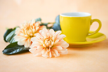 ダリアの花と黄色のコーヒーカップに入れたコーヒー花とコーヒー