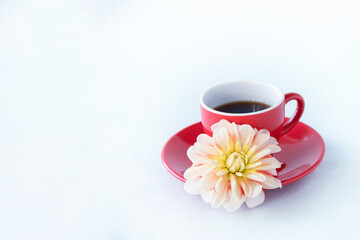 ダリアの花と赤いコーヒーカップに入れたコーヒー