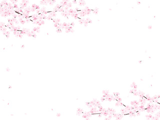 満開の桜　フレーム・背景素材（横向き）