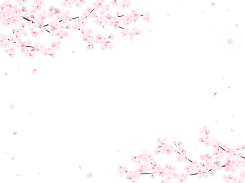 桜背景横 の画像 2 710 件の Stock 写真 ベクターおよびビデオ Adobe Stock