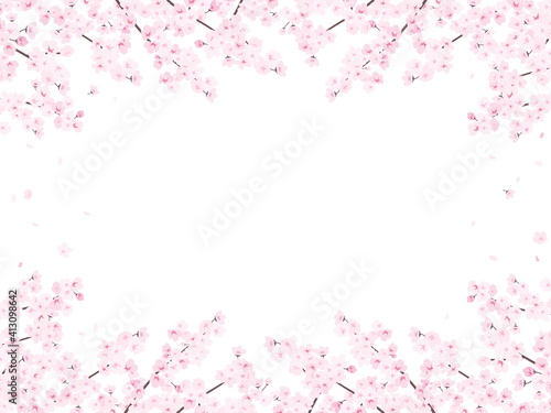 満開の桜 フレーム 背景素材 横向き Wall Mural Katie