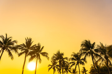 Beautiful coconut palm tree with sky at sunset or sunrise